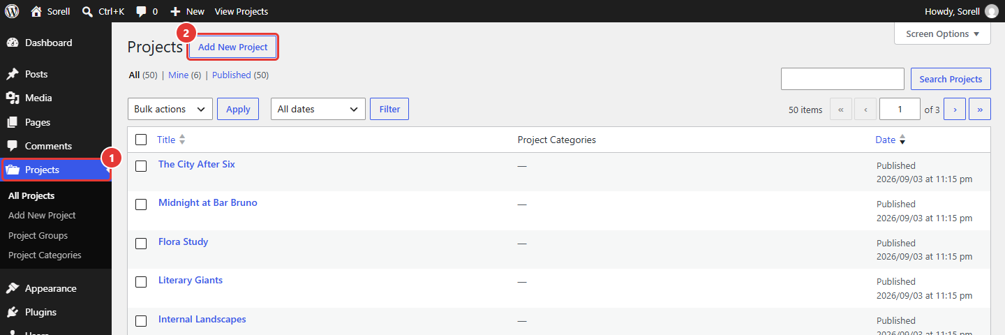 Projects list with the Projects menu and the Add New Project button highlighted